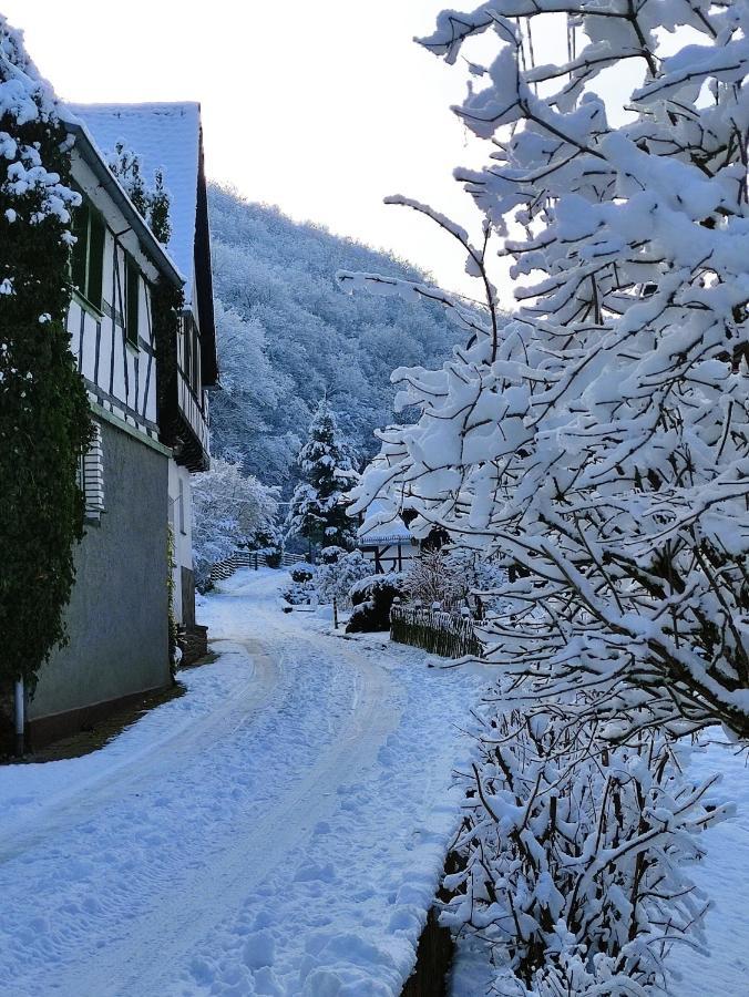 Ferienwohnung 'Unter Der Burg' 브로덴바흐 외부 사진