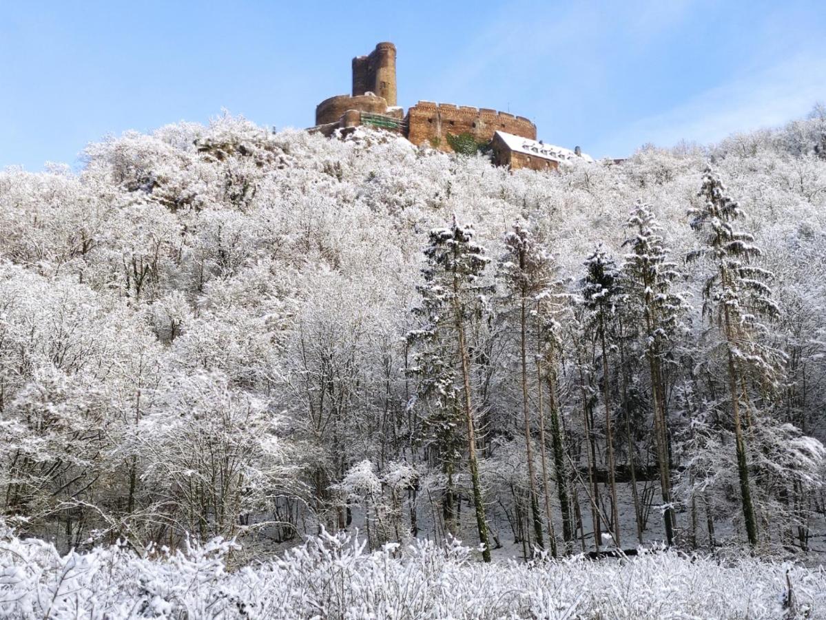 Ferienwohnung 'Unter Der Burg' 브로덴바흐 외부 사진